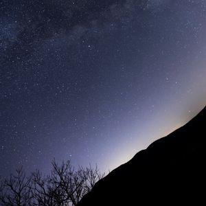 Preview wallpaper slope, trees, silhouettes, stars, night, dark