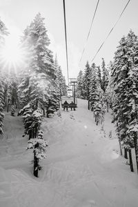 Preview wallpaper slope, trees, snow, cableway, people, winter