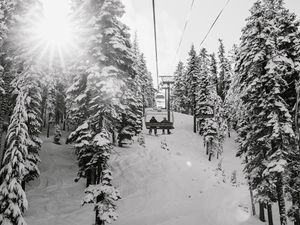 Preview wallpaper slope, trees, snow, cableway, people, winter