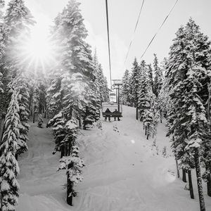 Preview wallpaper slope, trees, snow, cableway, people, winter