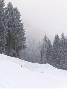 Preview wallpaper slope, trees, snow, snowstorm, winter