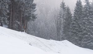 Preview wallpaper slope, trees, snow, snowstorm, winter