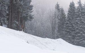 Preview wallpaper slope, trees, snow, snowstorm, winter