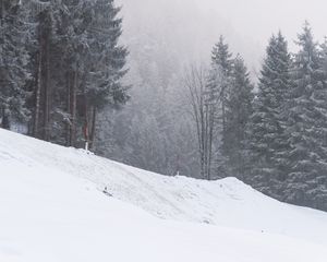 Preview wallpaper slope, trees, snow, snowstorm, winter