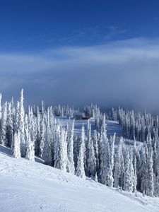 Preview wallpaper slope, trees, snow, house, winter