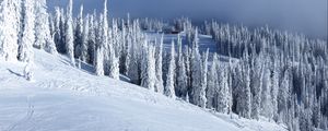 Preview wallpaper slope, trees, snow, house, winter