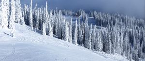 Preview wallpaper slope, trees, snow, house, winter