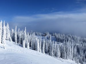 Preview wallpaper slope, trees, snow, house, winter