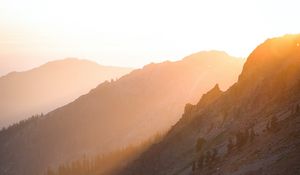 Preview wallpaper slope, trees, stones, hills, sun