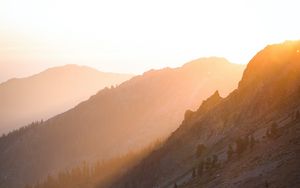 Preview wallpaper slope, trees, stones, hills, sun