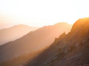 Preview wallpaper slope, trees, stones, hills, sun