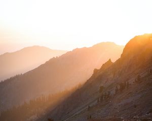 Preview wallpaper slope, trees, stones, hills, sun