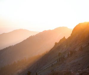 Preview wallpaper slope, trees, stones, hills, sun
