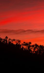Preview wallpaper slope, trees, sunset, sky
