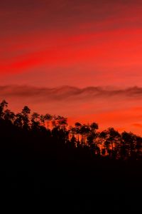 Preview wallpaper slope, trees, sunset, sky