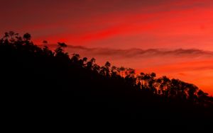 Preview wallpaper slope, trees, sunset, sky