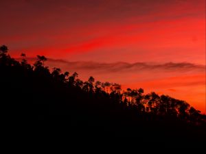 Preview wallpaper slope, trees, sunset, sky