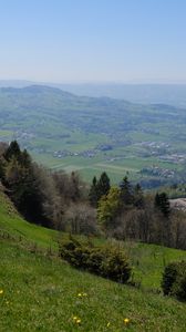 Preview wallpaper slope, trees, valley, grass, landscape