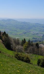 Preview wallpaper slope, trees, valley, grass, landscape