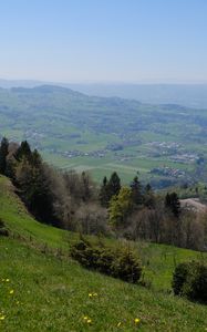 Preview wallpaper slope, trees, valley, grass, landscape