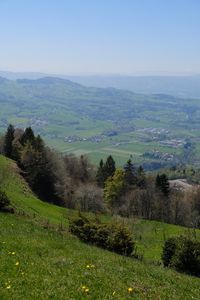 Preview wallpaper slope, trees, valley, grass, landscape