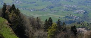 Preview wallpaper slope, trees, valley, grass, landscape