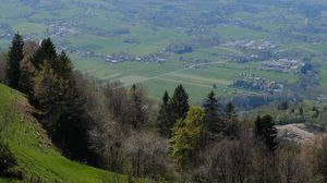 Preview wallpaper slope, trees, valley, grass, landscape