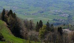 Preview wallpaper slope, trees, valley, grass, landscape