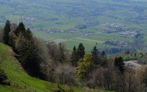 Preview wallpaper slope, trees, valley, grass, landscape