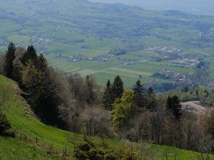 Preview wallpaper slope, trees, valley, grass, landscape