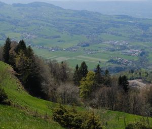 Preview wallpaper slope, trees, valley, grass, landscape
