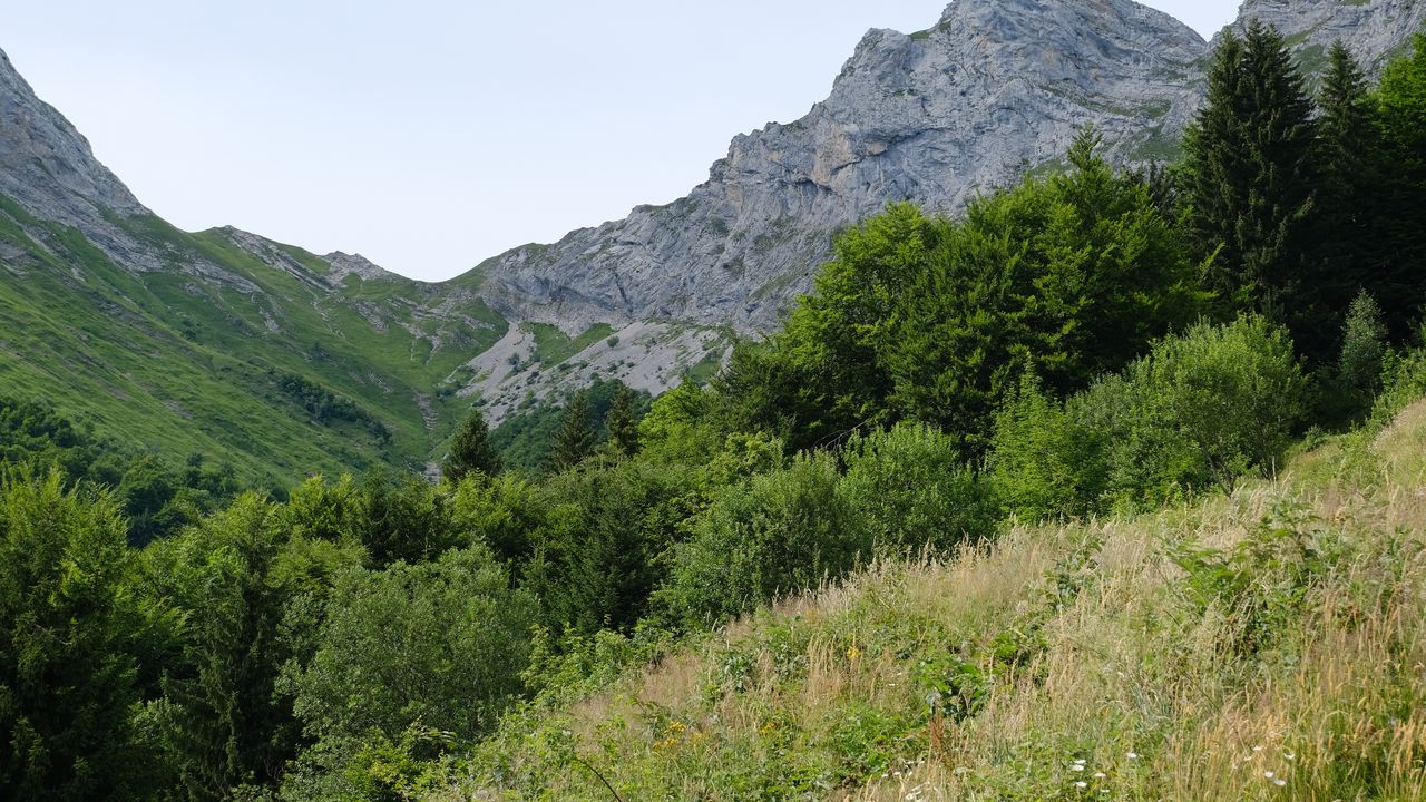 Wallpaper slopes, grass, trees, mountains