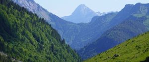 Preview wallpaper slopes, mountains, forest, landscape