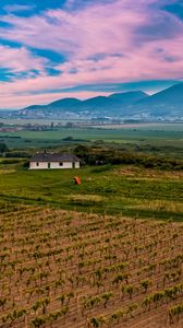 Preview wallpaper slovakia, vineyard, field, sky