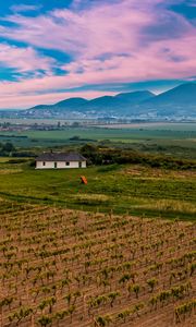 Preview wallpaper slovakia, vineyard, field, sky