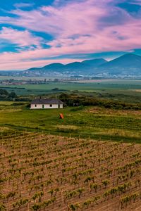 Preview wallpaper slovakia, vineyard, field, sky