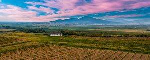 Preview wallpaper slovakia, vineyard, field, sky