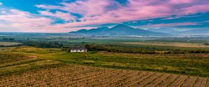 Preview wallpaper slovakia, vineyard, field, sky