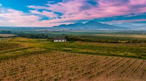 Preview wallpaper slovakia, vineyard, field, sky