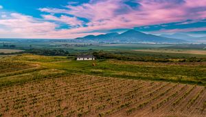 Preview wallpaper slovakia, vineyard, field, sky