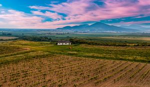 Preview wallpaper slovakia, vineyard, field, sky