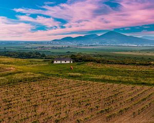 Preview wallpaper slovakia, vineyard, field, sky