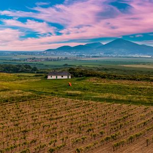 Preview wallpaper slovakia, vineyard, field, sky