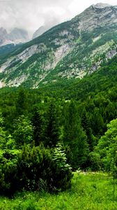 Preview wallpaper slovenia, mountains, wood, trees, cloudy