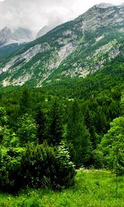 Preview wallpaper slovenia, mountains, wood, trees, cloudy