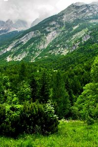 Preview wallpaper slovenia, mountains, wood, trees, cloudy