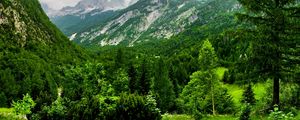 Preview wallpaper slovenia, mountains, wood, trees, cloudy