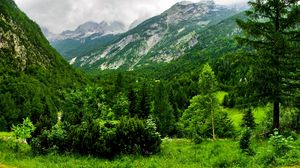 Preview wallpaper slovenia, mountains, wood, trees, cloudy