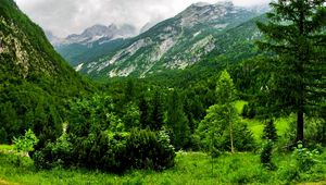 Preview wallpaper slovenia, mountains, wood, trees, cloudy