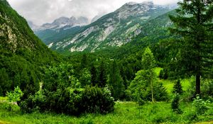 Preview wallpaper slovenia, mountains, wood, trees, cloudy